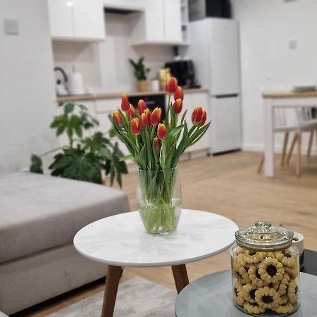 Apartament Na Skalkach يلينيا غورا المظهر الخارجي الصورة