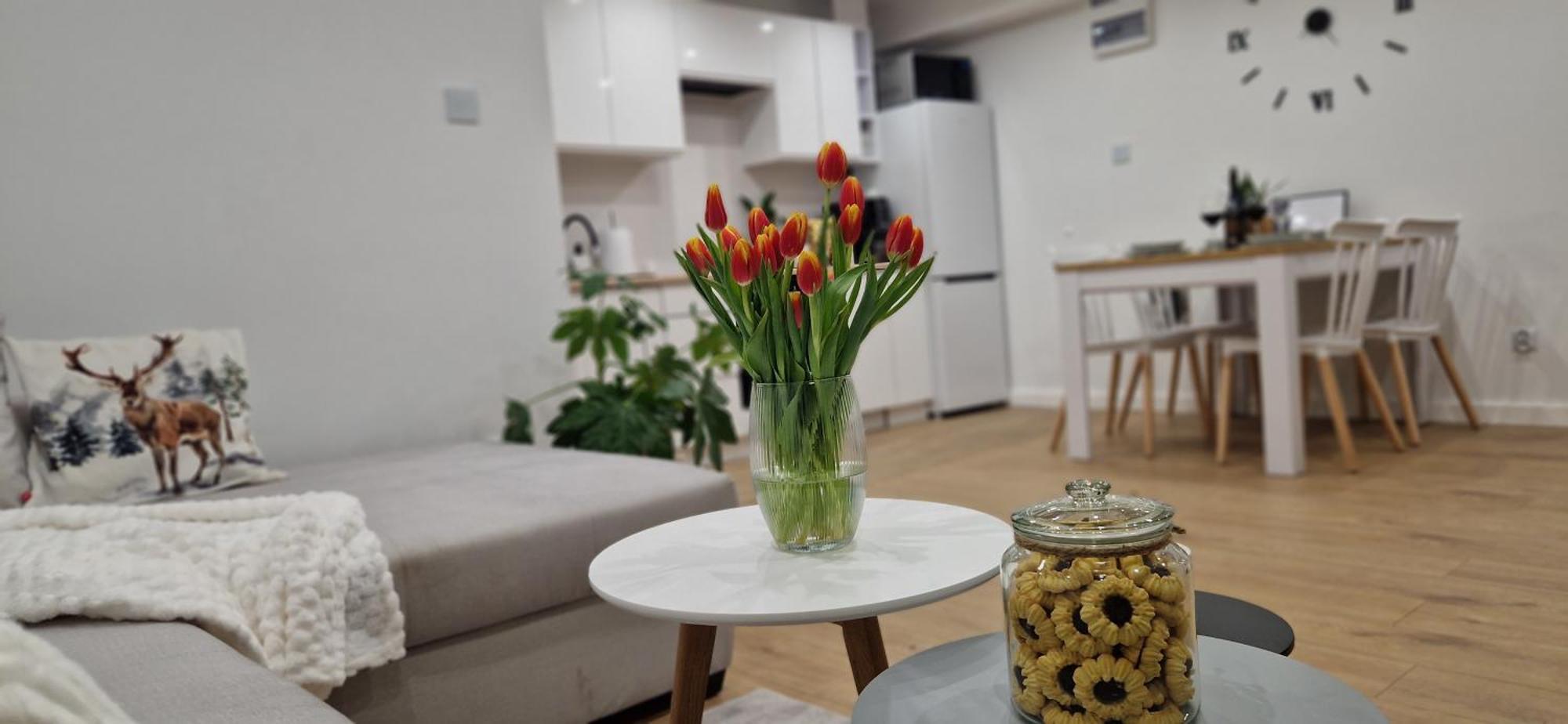 Apartament Na Skalkach يلينيا غورا المظهر الخارجي الصورة